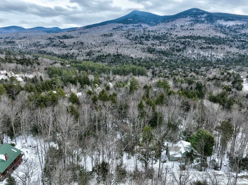 Photo of 00 Dundee Road #102, Bartlett, NH 03812 (MLS # 5064552)
