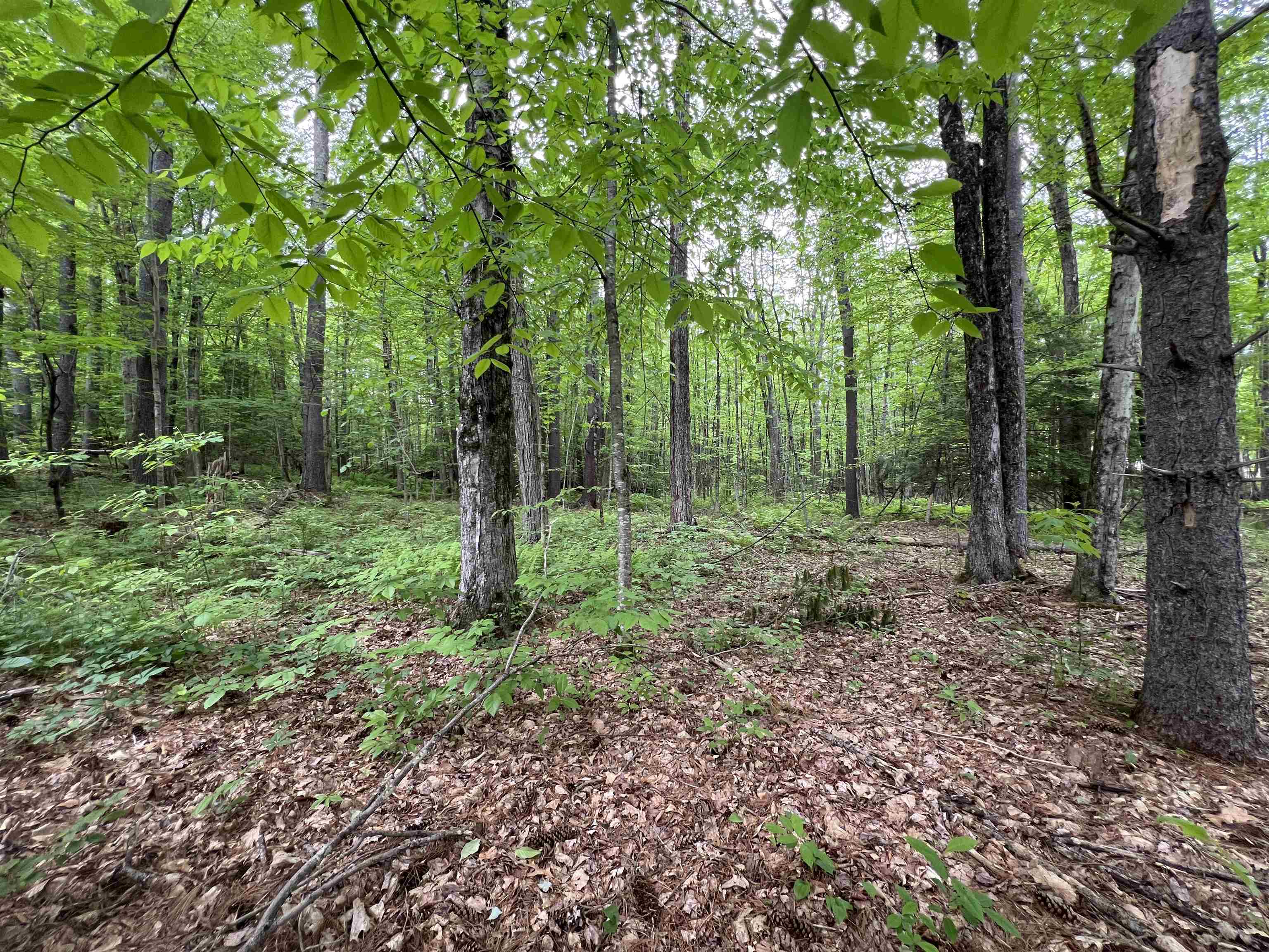 Ball Hill Road Lot 51-5-2