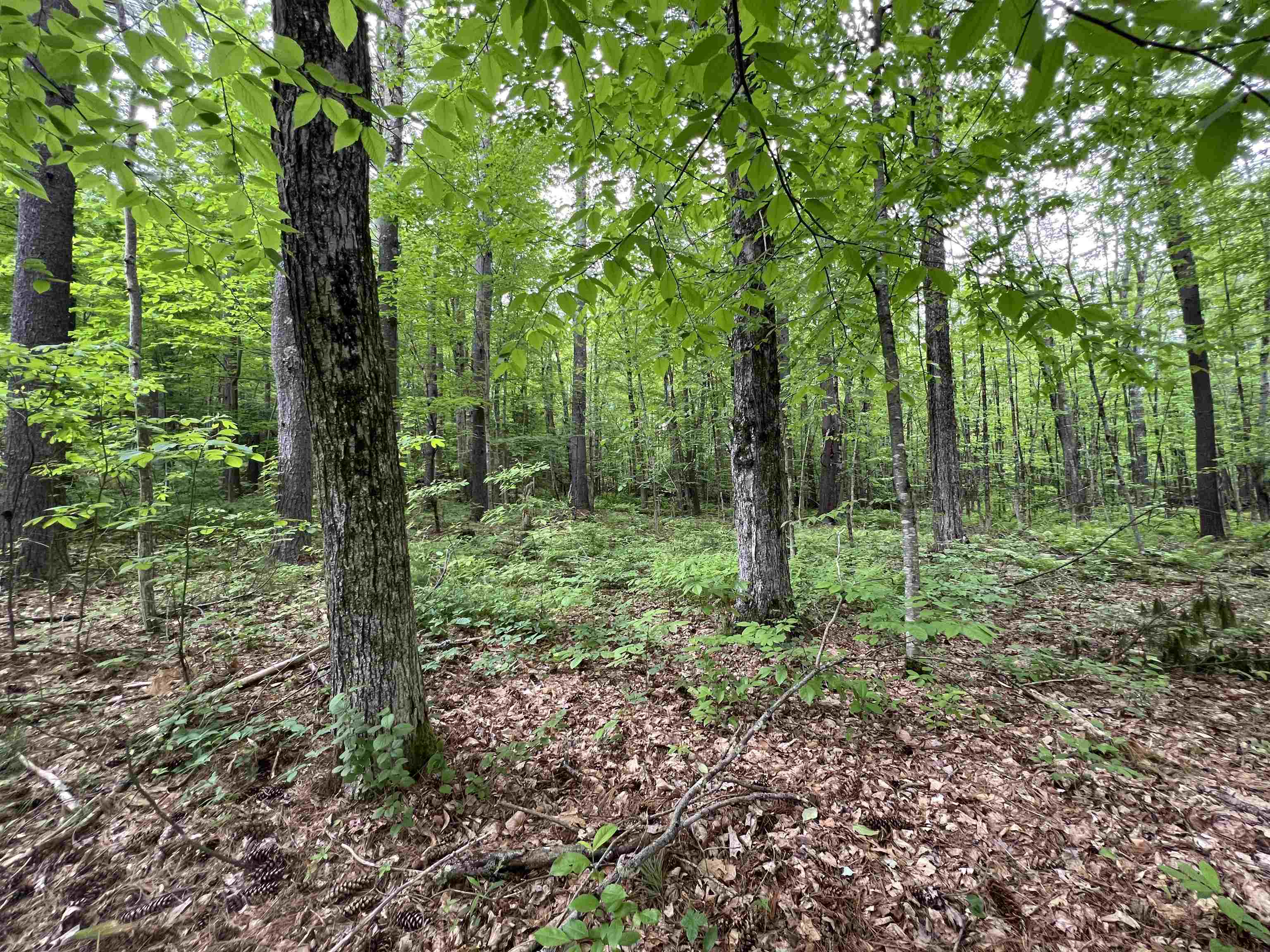 Ball Hill Road Lot 51-5-2