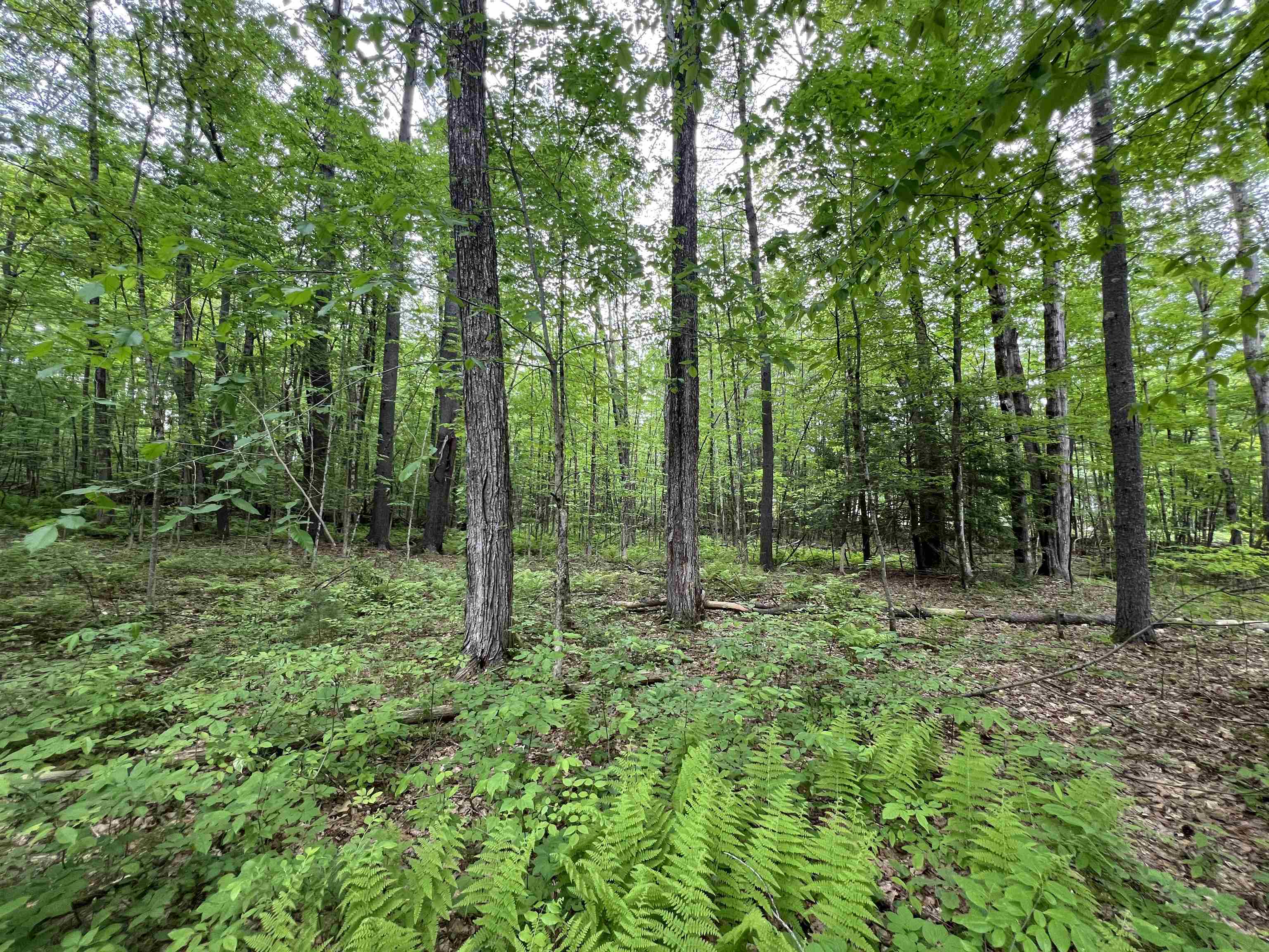 Ball Hill Road Lot 51-5-2