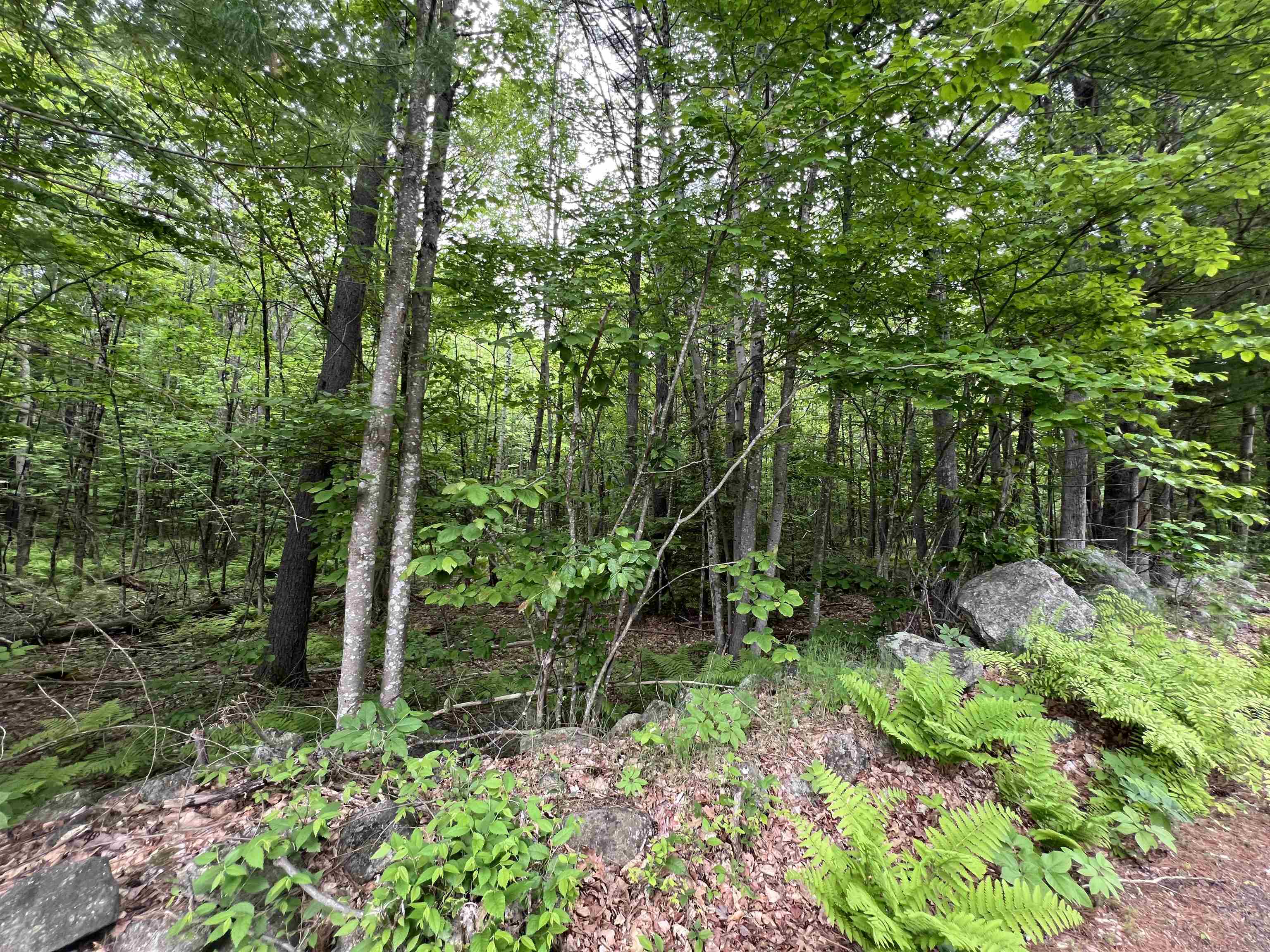 Ball Hill Road Lot 51-5-2