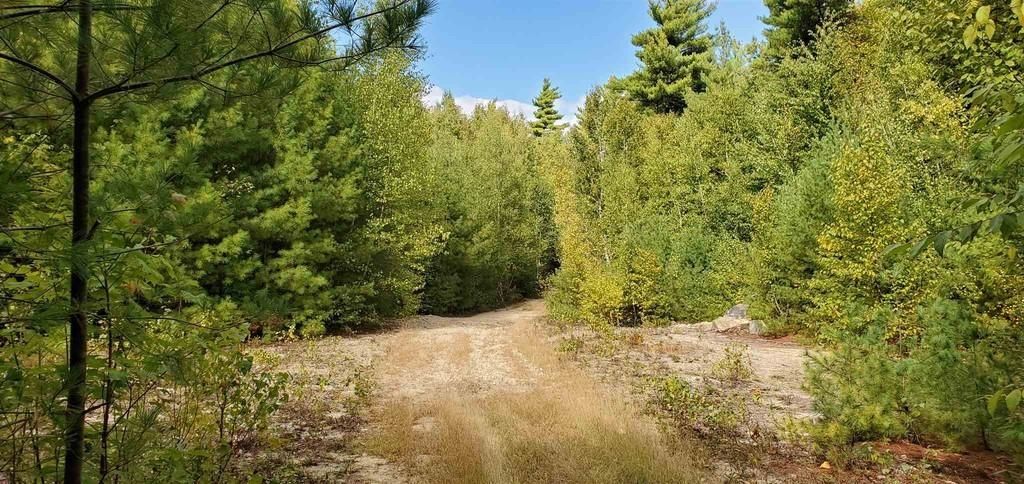 Photo of 220 Stowell Road, New Ipswich, NH 03071 (MLS # 5017714)