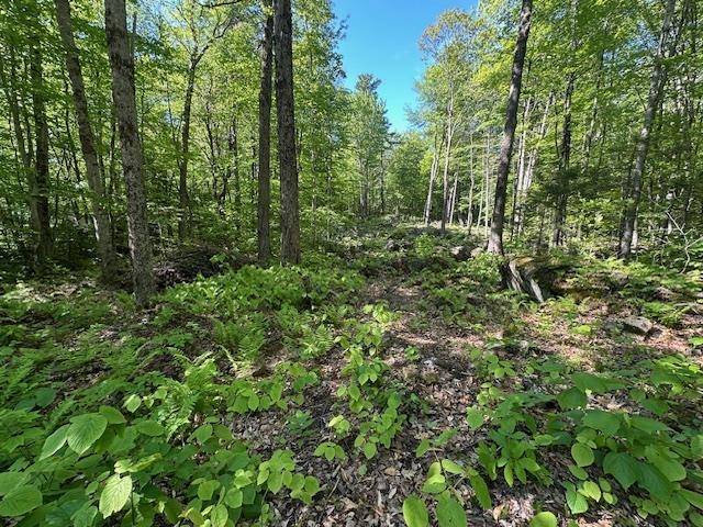 0 Tiogla Trail