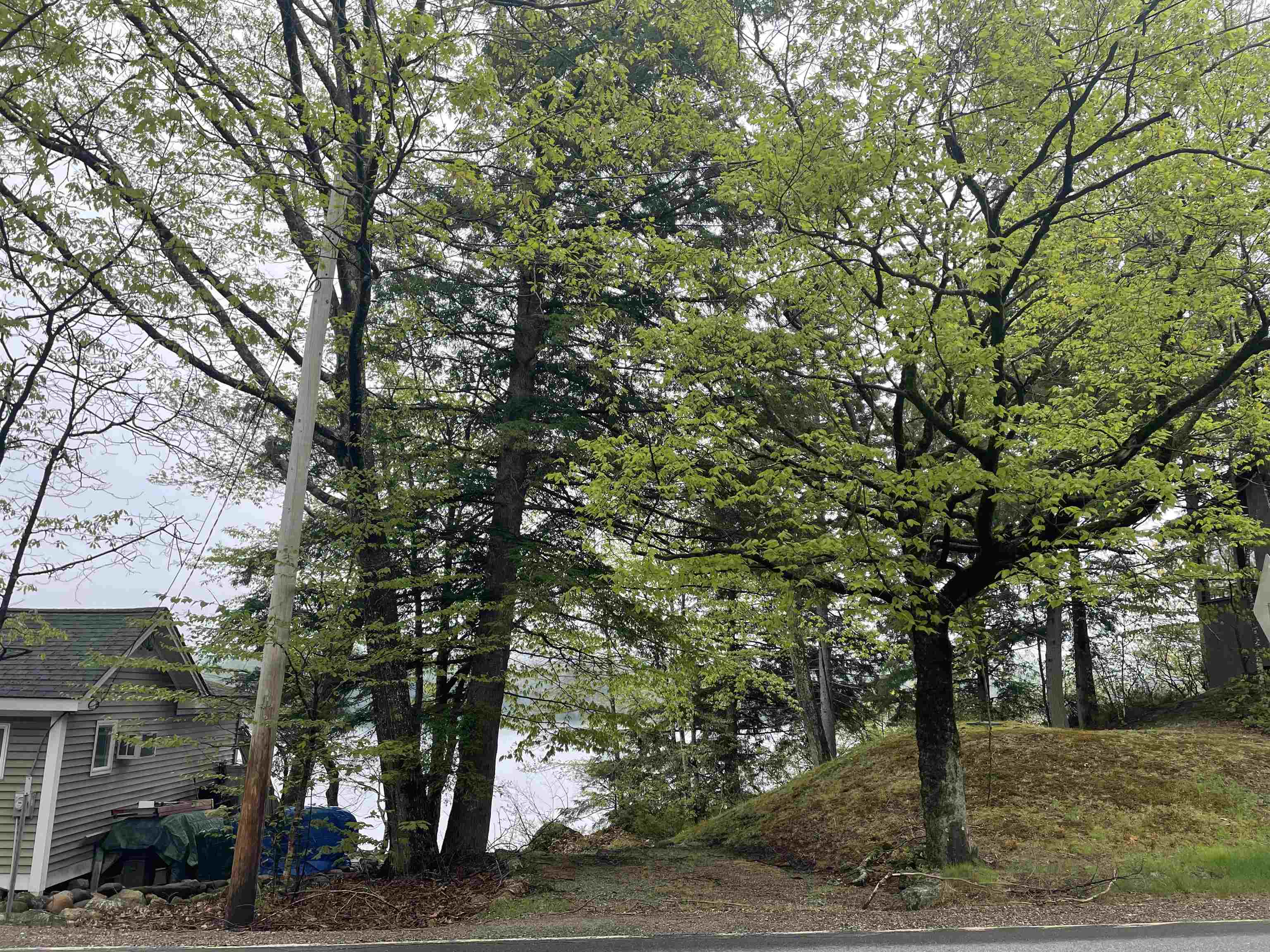 Map 135 Lot 13 Route 123