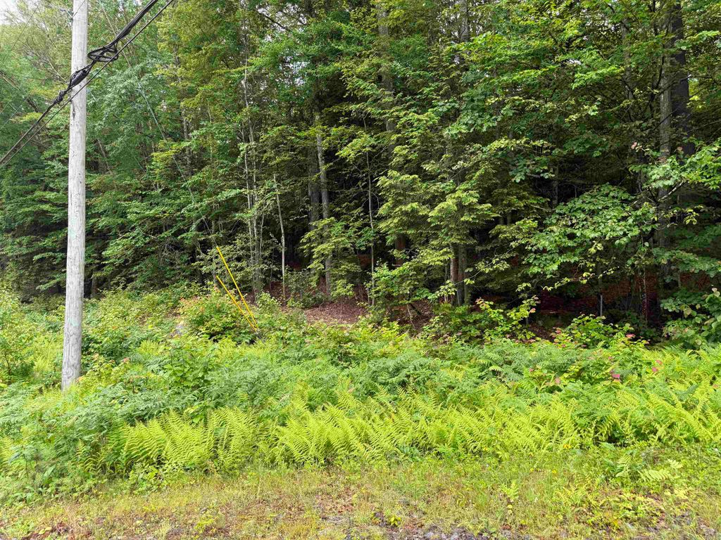Photo of 5409 Rte. 114, Henniker, NH 03242 (MLS # 5046984)