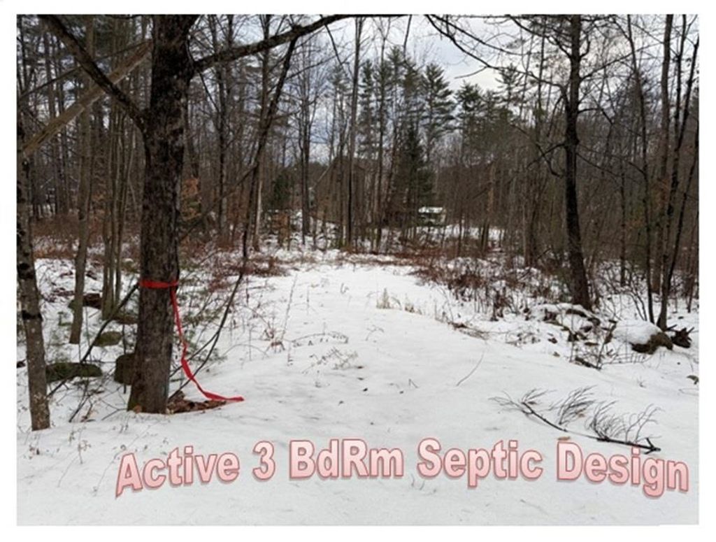 Photo of 15 Sunrise Place, Hillsborough, NH 03244 (MLS # 5074059)