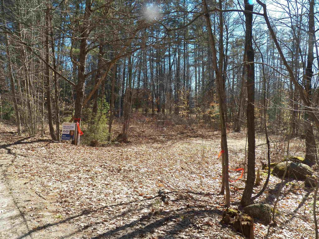 Photo of 15 Sunrise Place, Hillsborough, NH 03244 (MLS # 5074059)