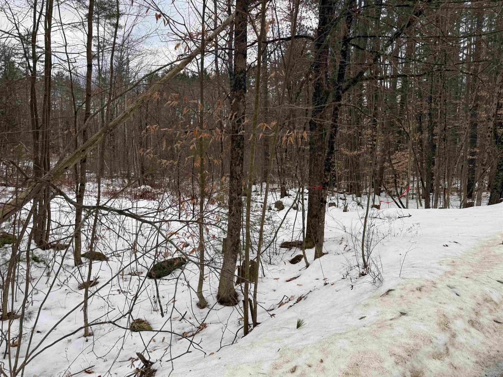 Photo of 15 Sunrise Place, Hillsborough, NH 03244 (MLS # 5074059)