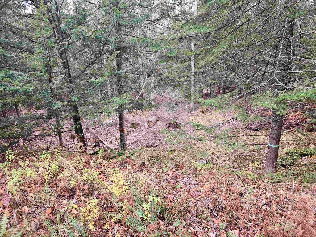 Photo of 35 Langway Road, Lyman, NH 03585 (MLS # 5069884)