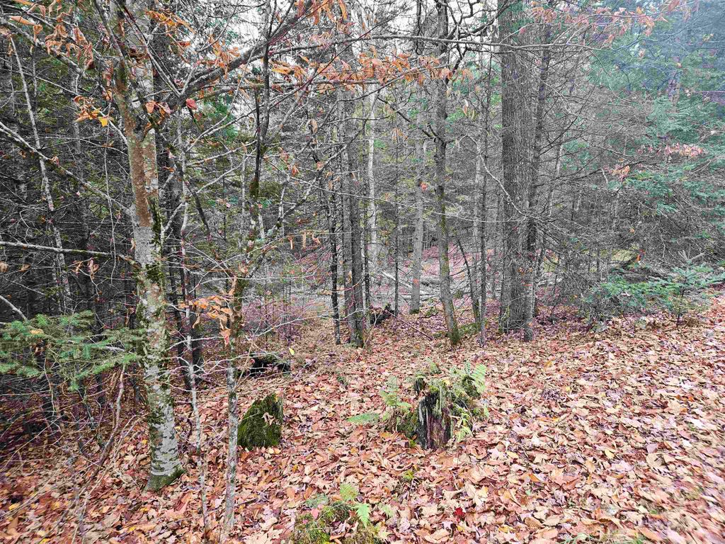 Photo of 35 Langway Road, Lyman, NH 03585 (MLS # 5069884)