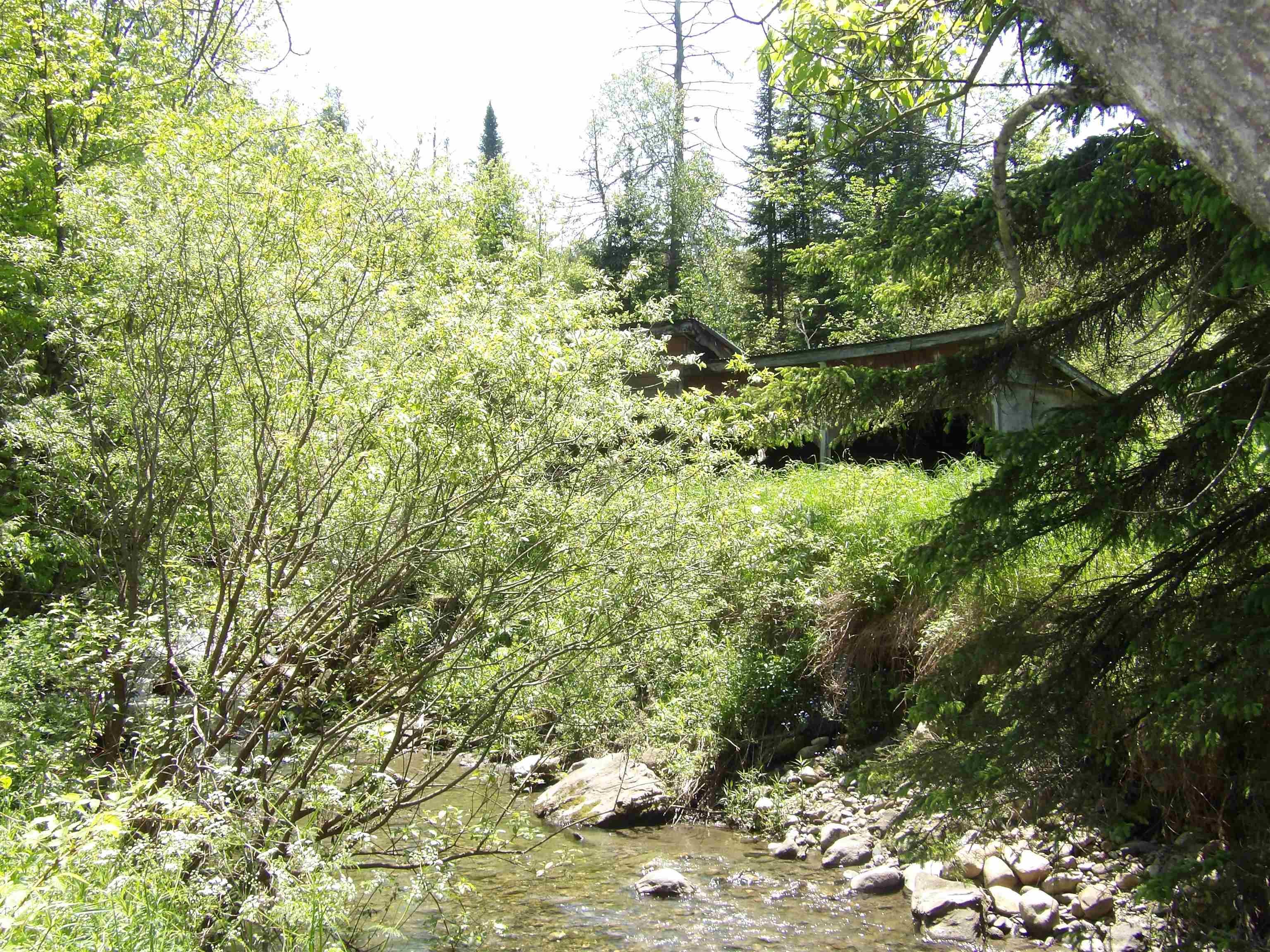 Washington, Vermont 05675, United States, 2 Bedrooms Bedrooms, ,1 BathroomBathrooms,Residential,Active,148950