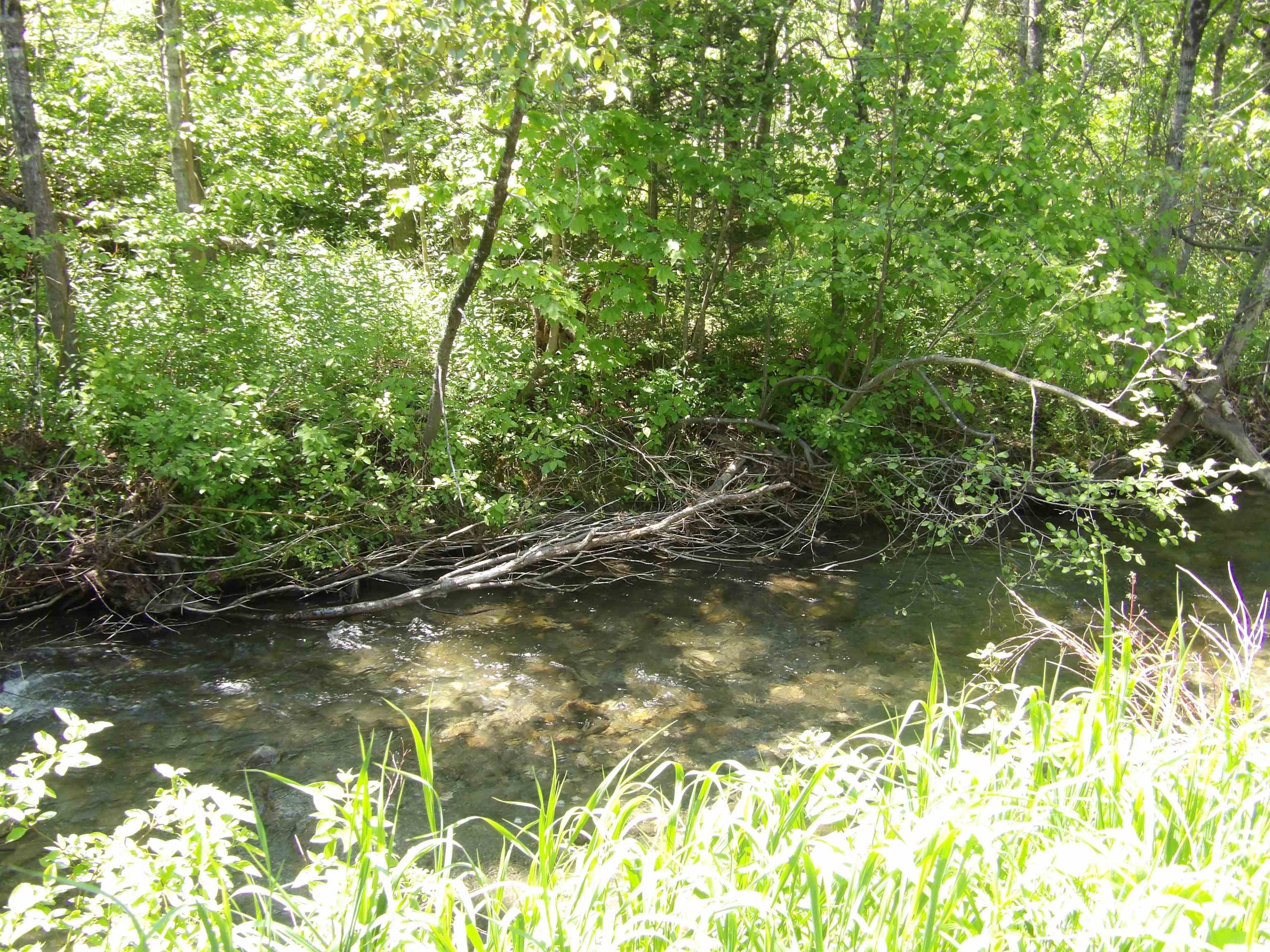 Washington, Vermont 05675, United States, 2 Bedrooms Bedrooms, ,1 BathroomBathrooms,Residential,Active,148950