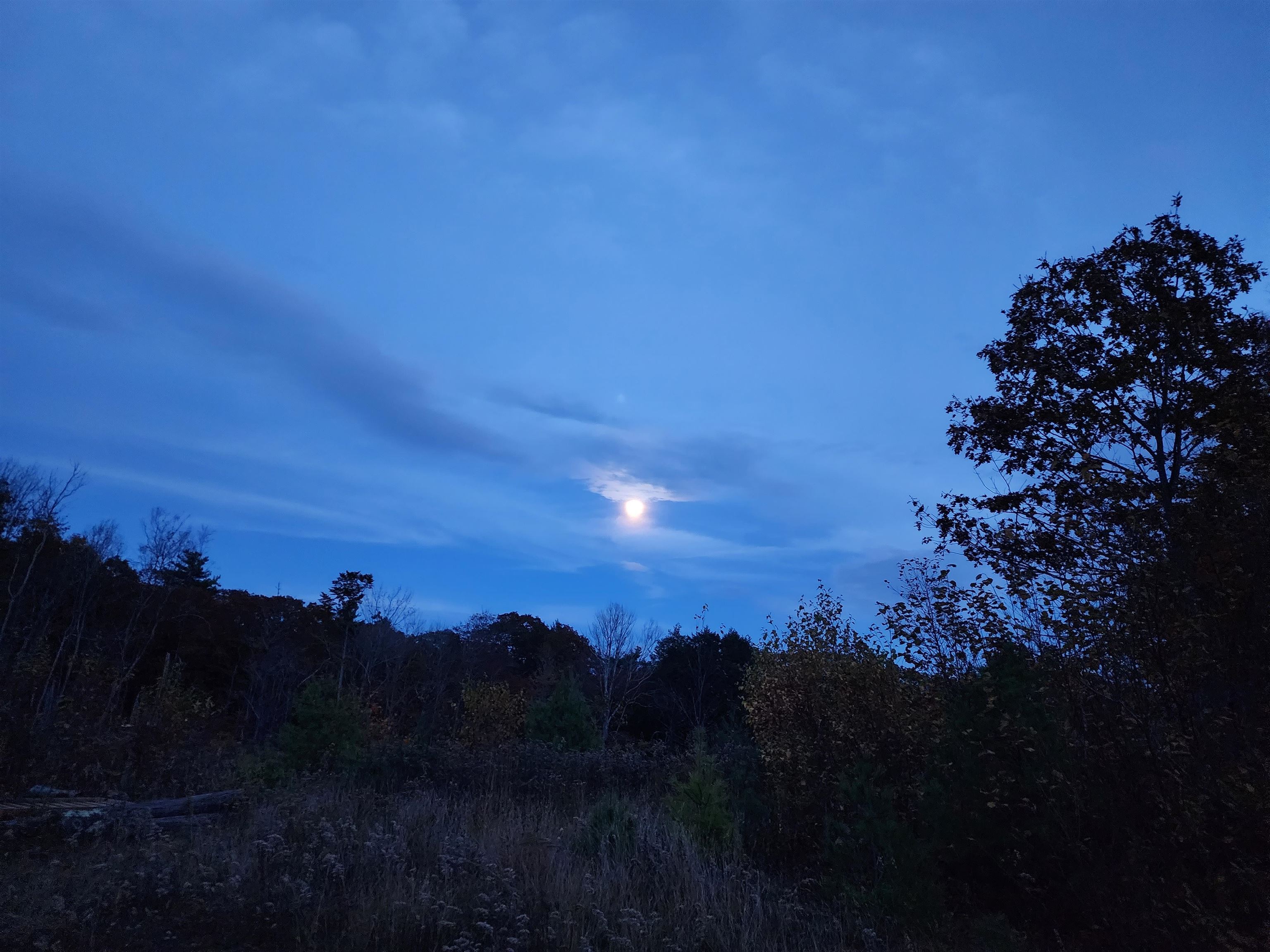 Lots 30 and 34 Kings Highway