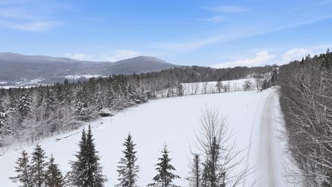 1090 Center Road Lot #3 Albany VT 05845