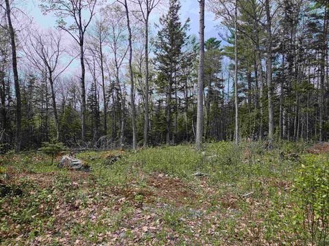 Photo of 101 Wallace Hill Road, Franconia, NH 03580 (MLS # 5089870)
