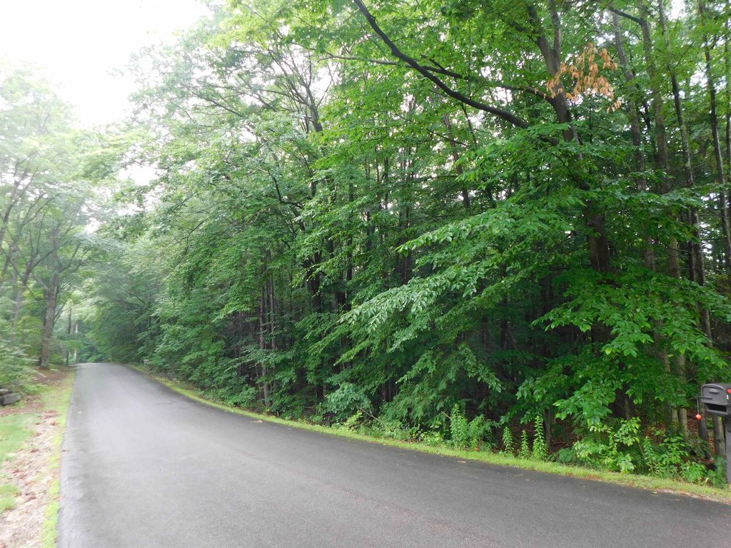 Photo of 47 Gibbons &amp; Robbins Road, Wilton, NH 03086 (MLS # 5032621)