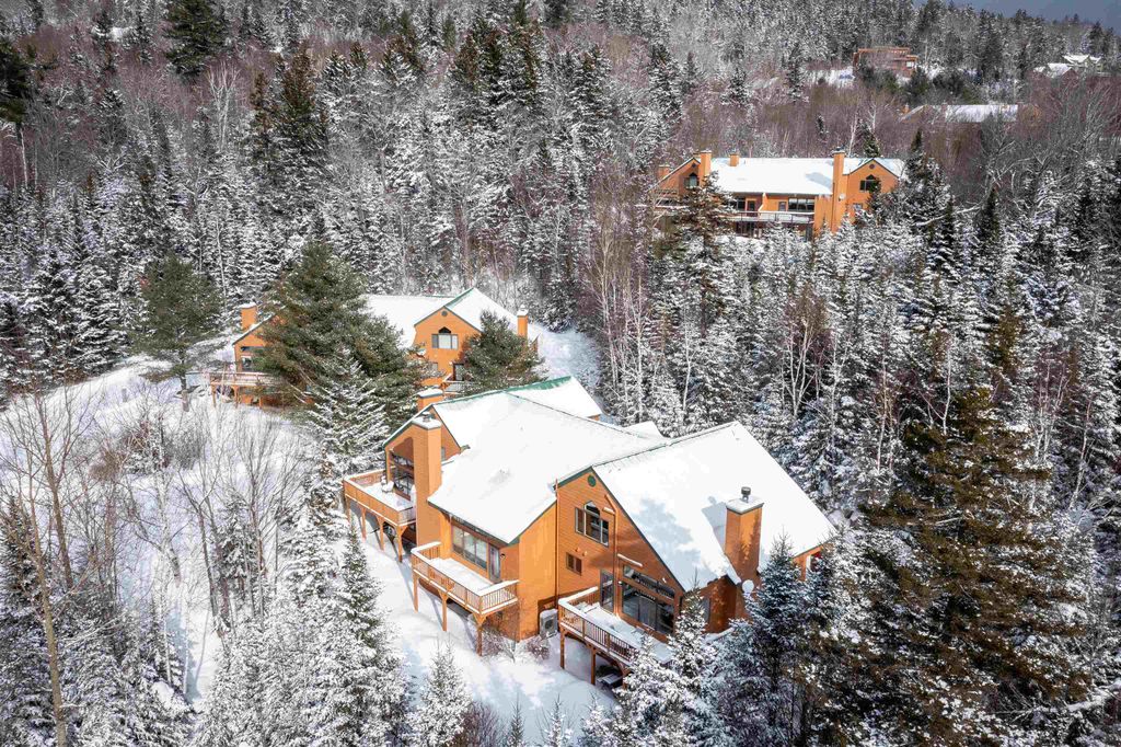 Photo of 72 Appleby Close Road #41, Carroll, NH 03575 (MLS # 5074529)