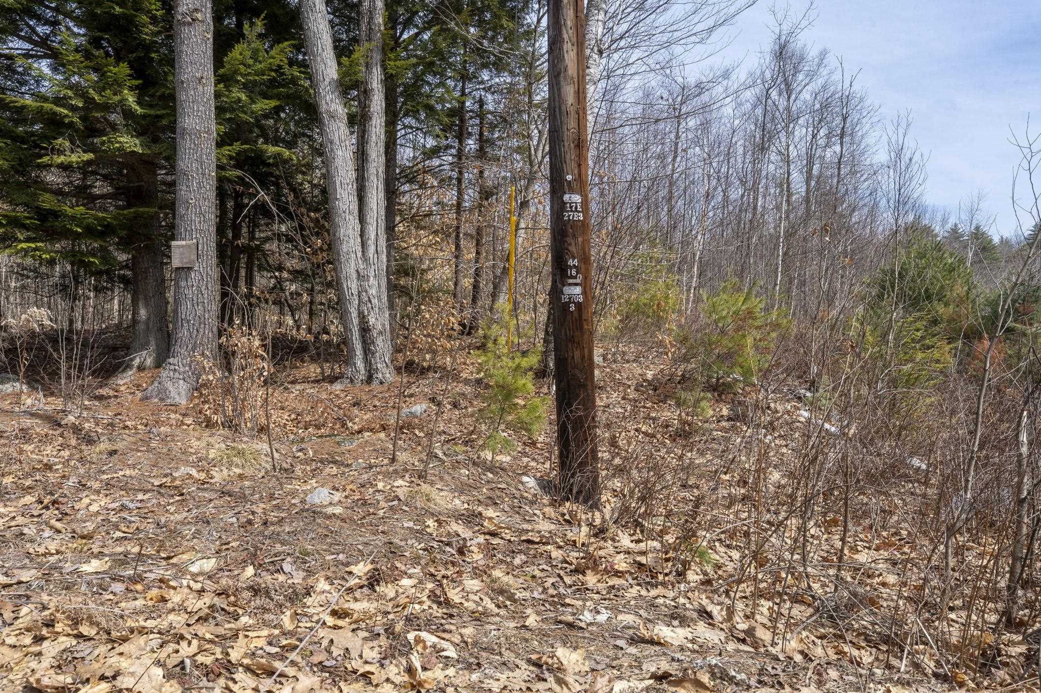 00 Roxbury Road Lot 1