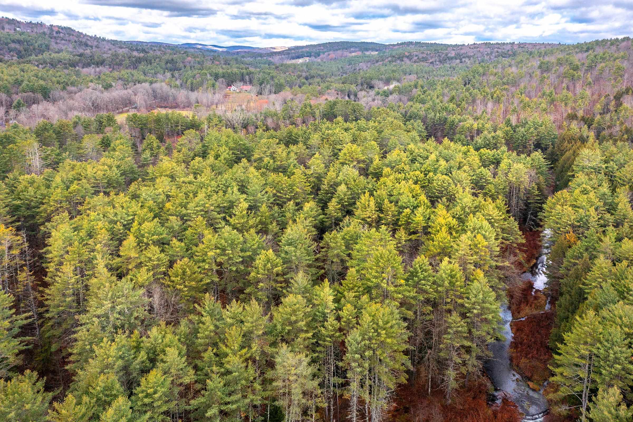 40 E Putney Brook Road