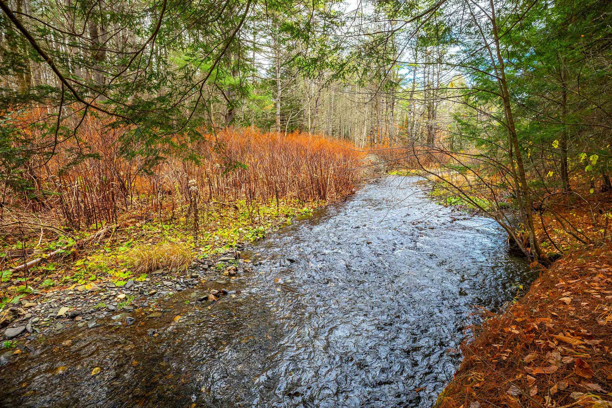 40 E Putney Brook Road