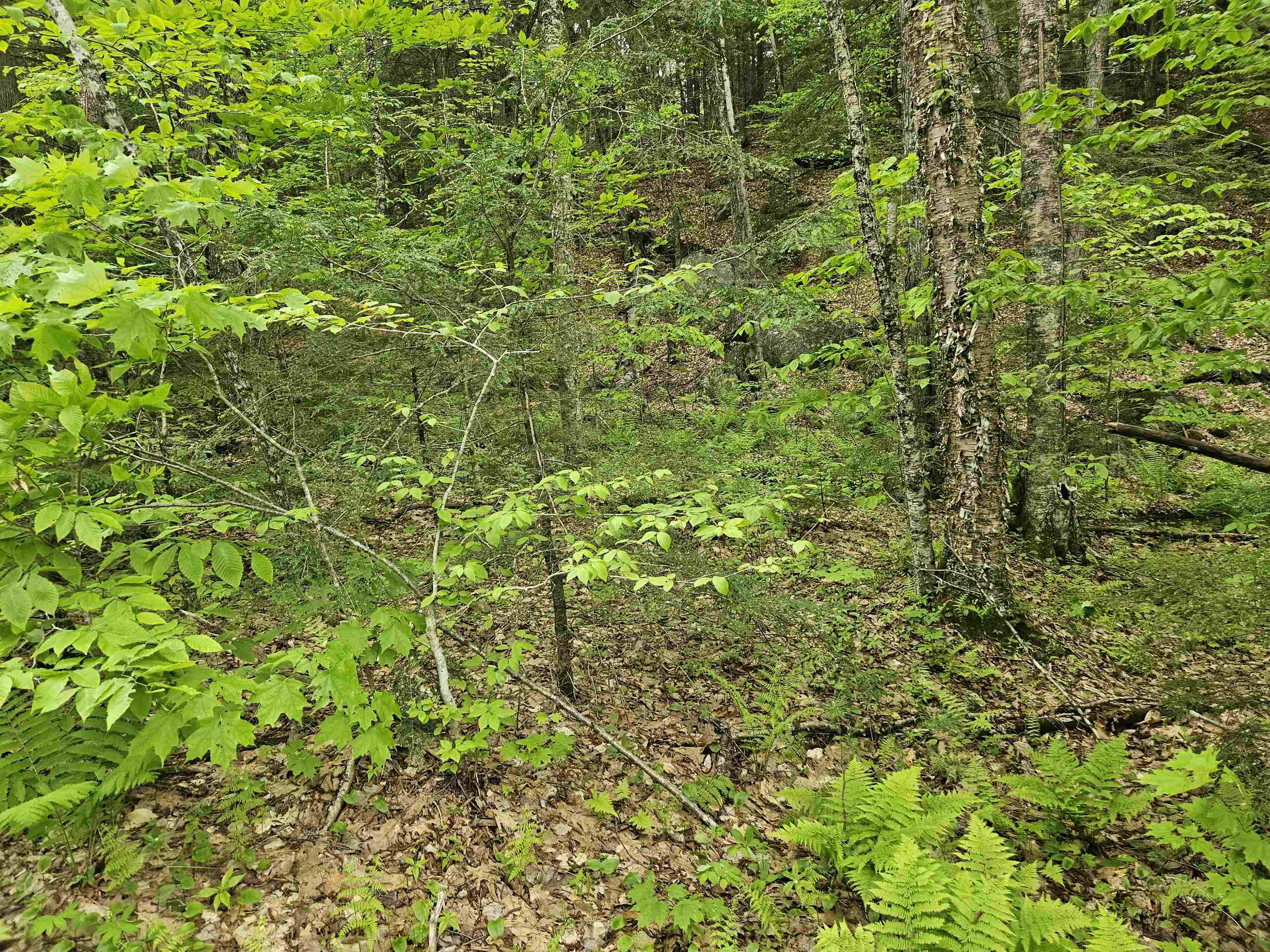 15-4-15 Beaver Brook Road 3