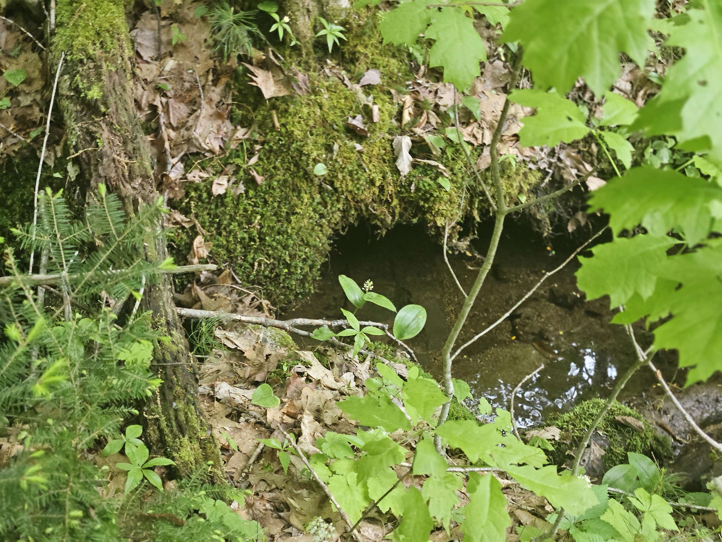 15-4-15 Beaver Brook Road 3