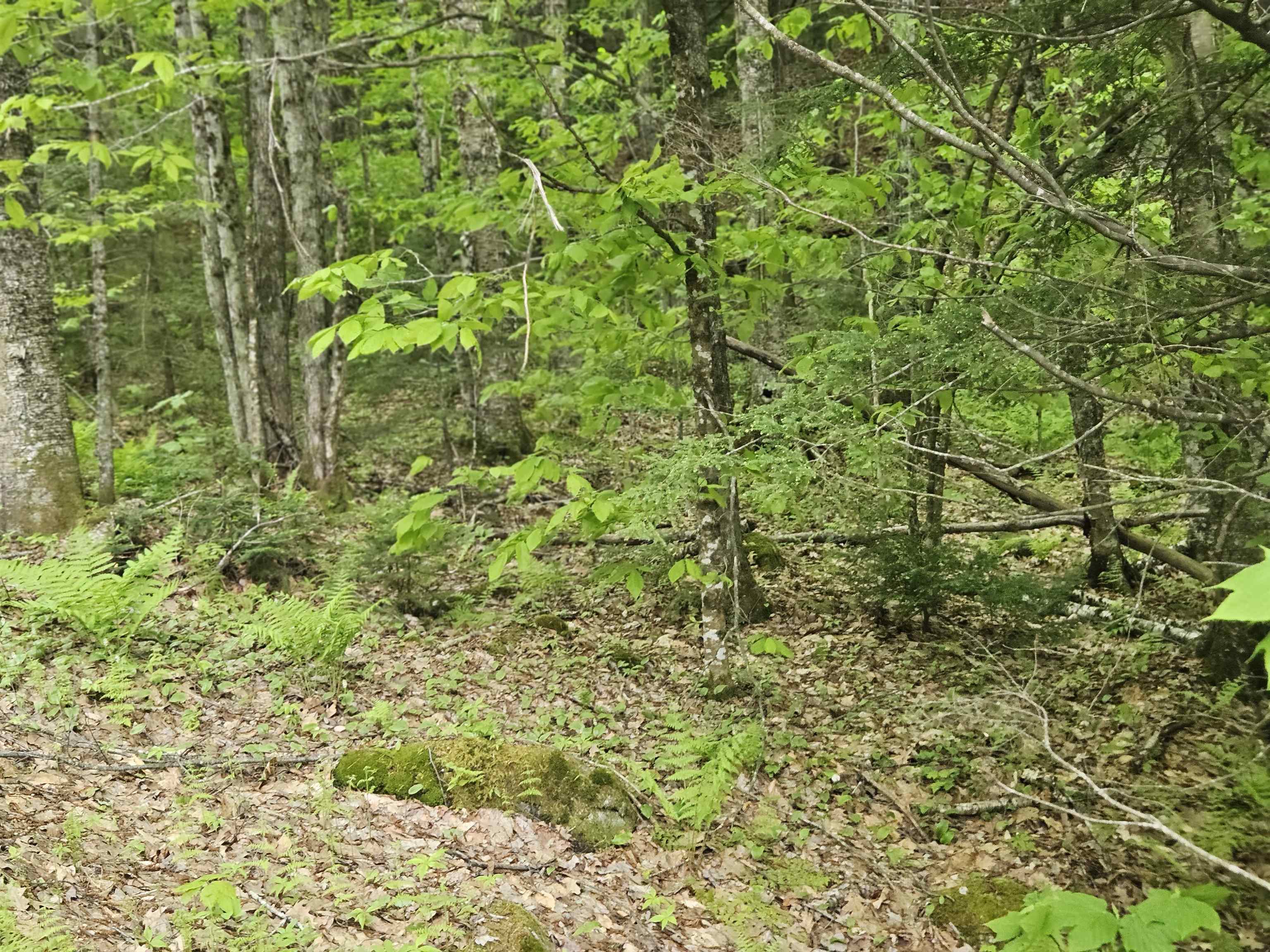 15-4-15 Beaver Brook Road 3