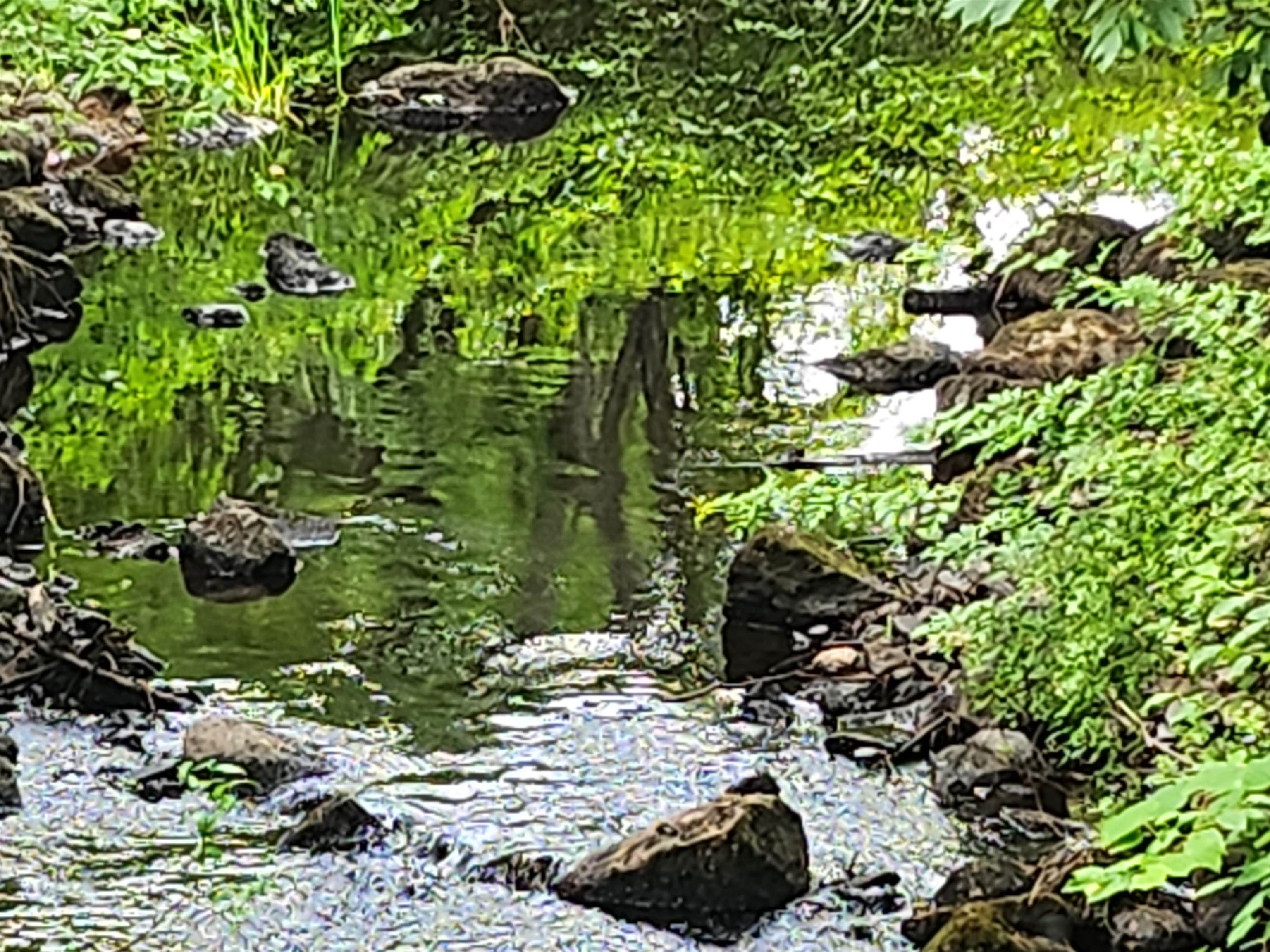 126 Meredith Center Rd Road