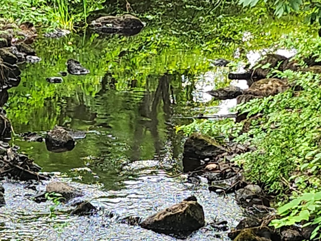 Photo of 126 Meredith Center Road, Meredith, NH 03253 (MLS # 5080241)