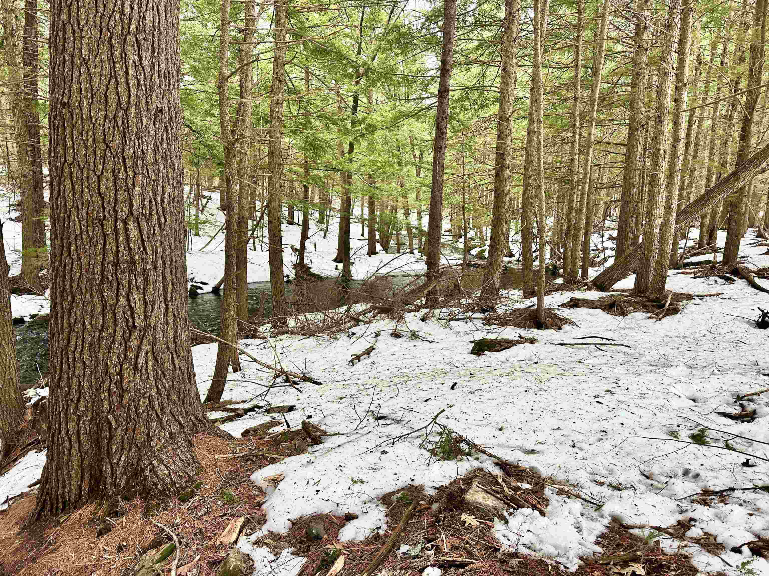 336 Old Jaffrey Road Lot R3-12-2