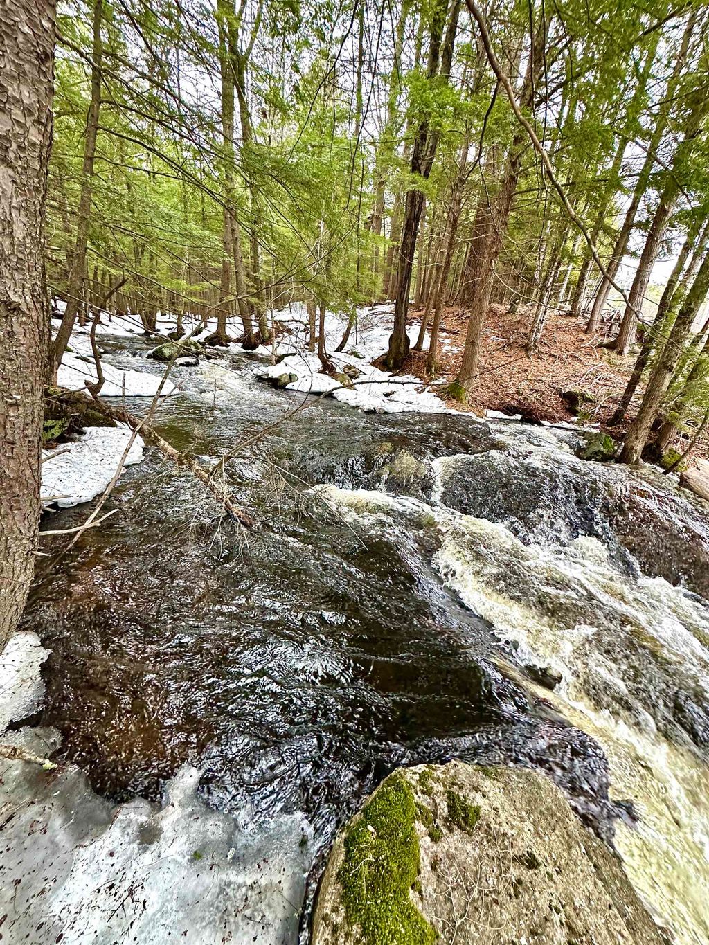 Photo of 336 Old Jaffrey Road #Lot R3-12-2, Peterborough, NH 03458 (MLS # 5079345)