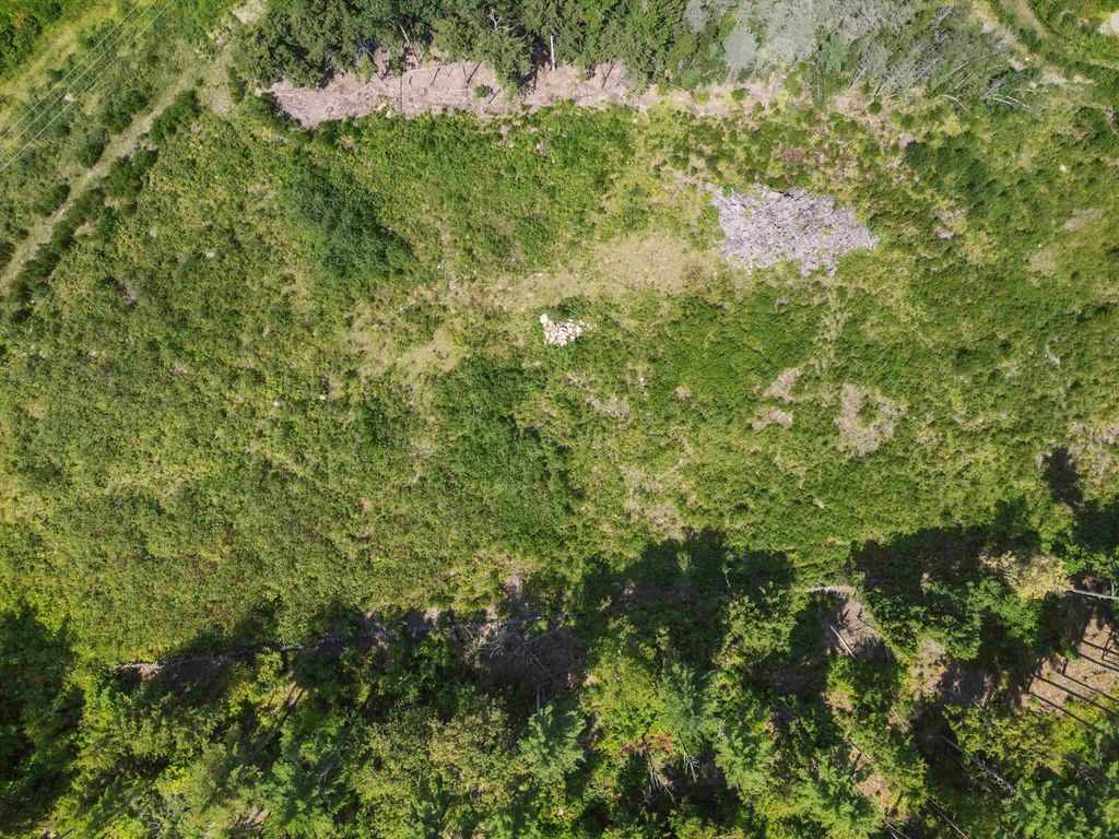 Photo of 1602 Us Highway 202, Bennington, NH 03442 (MLS # 5085591)