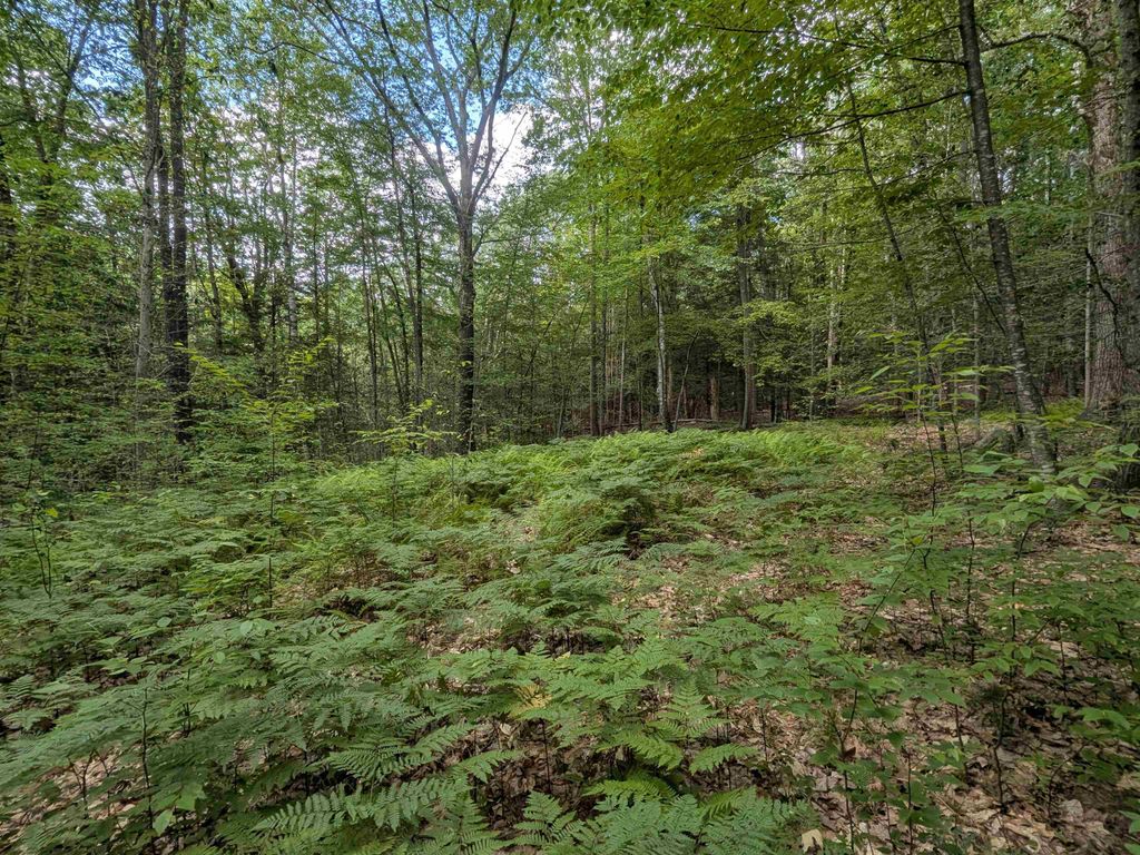 Photo of 66 Burton Highway, Wilton, NH 03086 (MLS # 5078956)