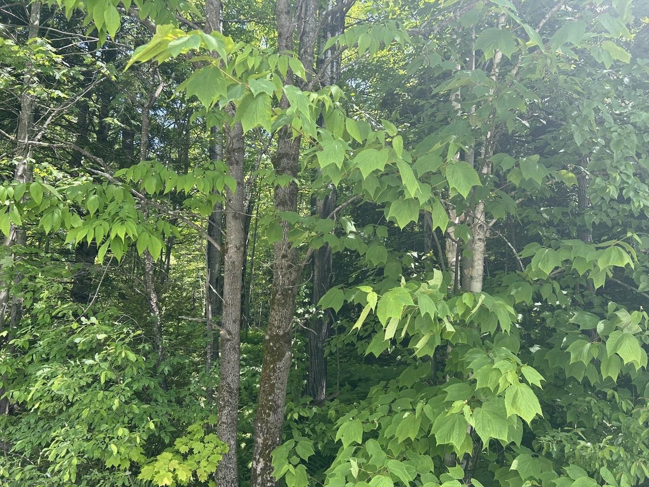 0 Rushford Valley Road