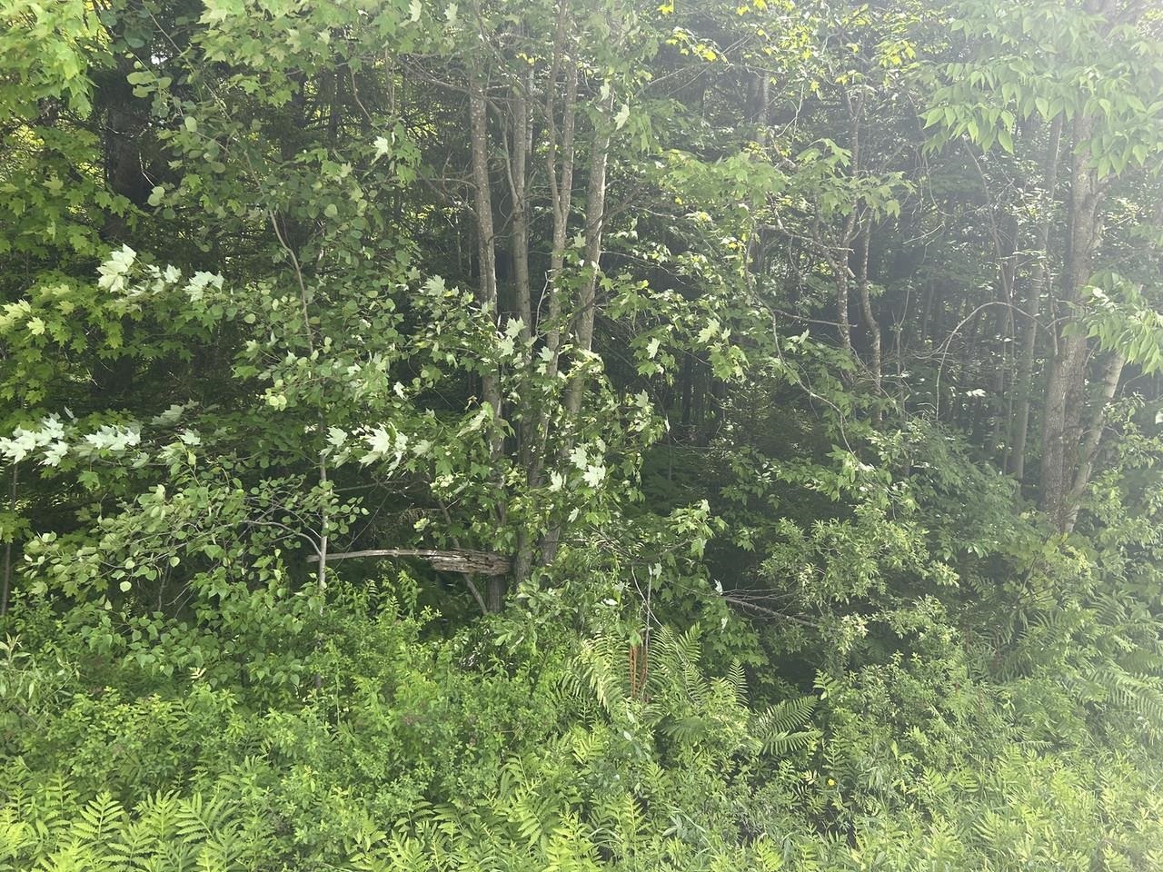 0 Rushford Valley Road