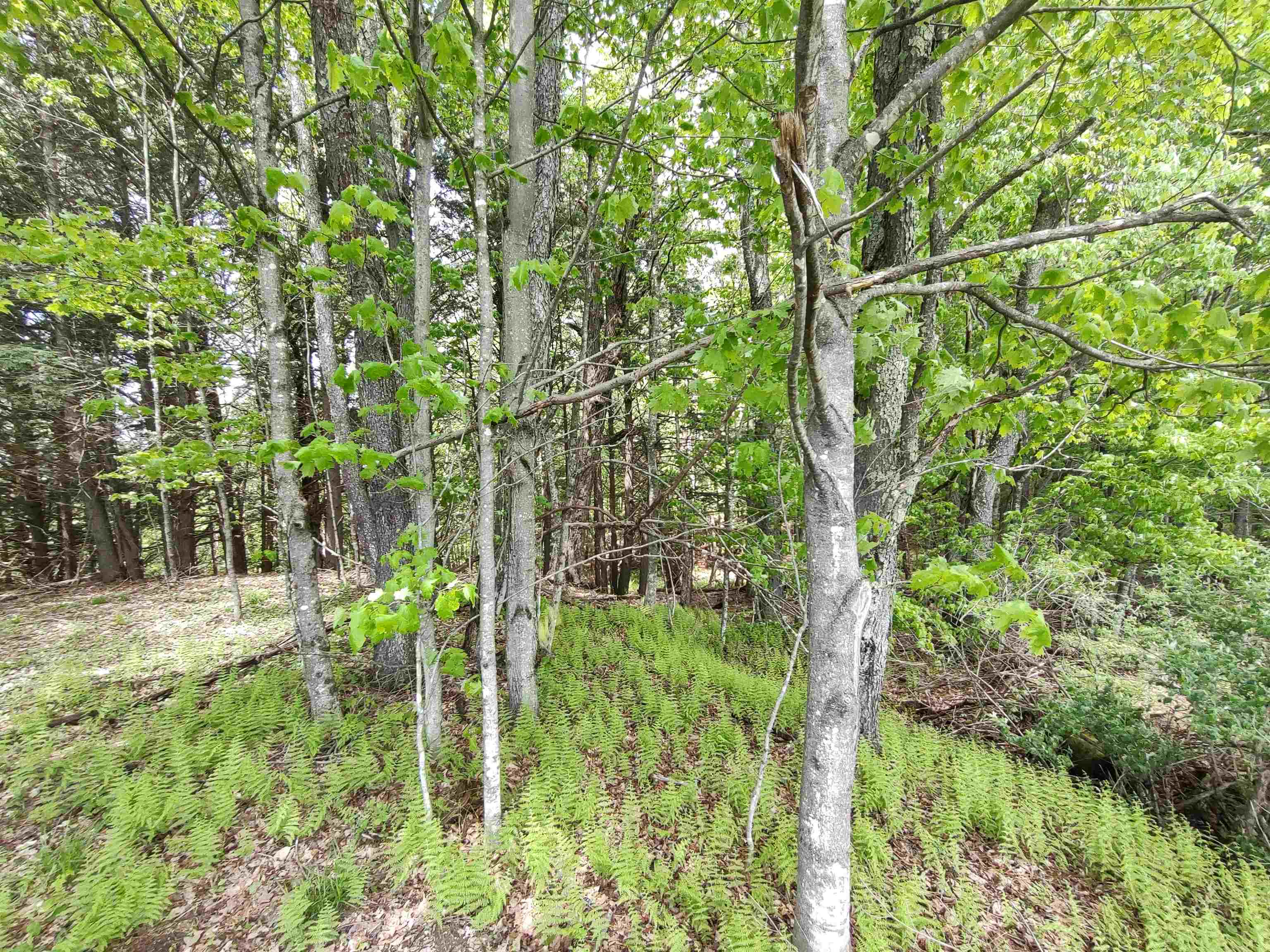 555b Gould Hill Lot 2B
