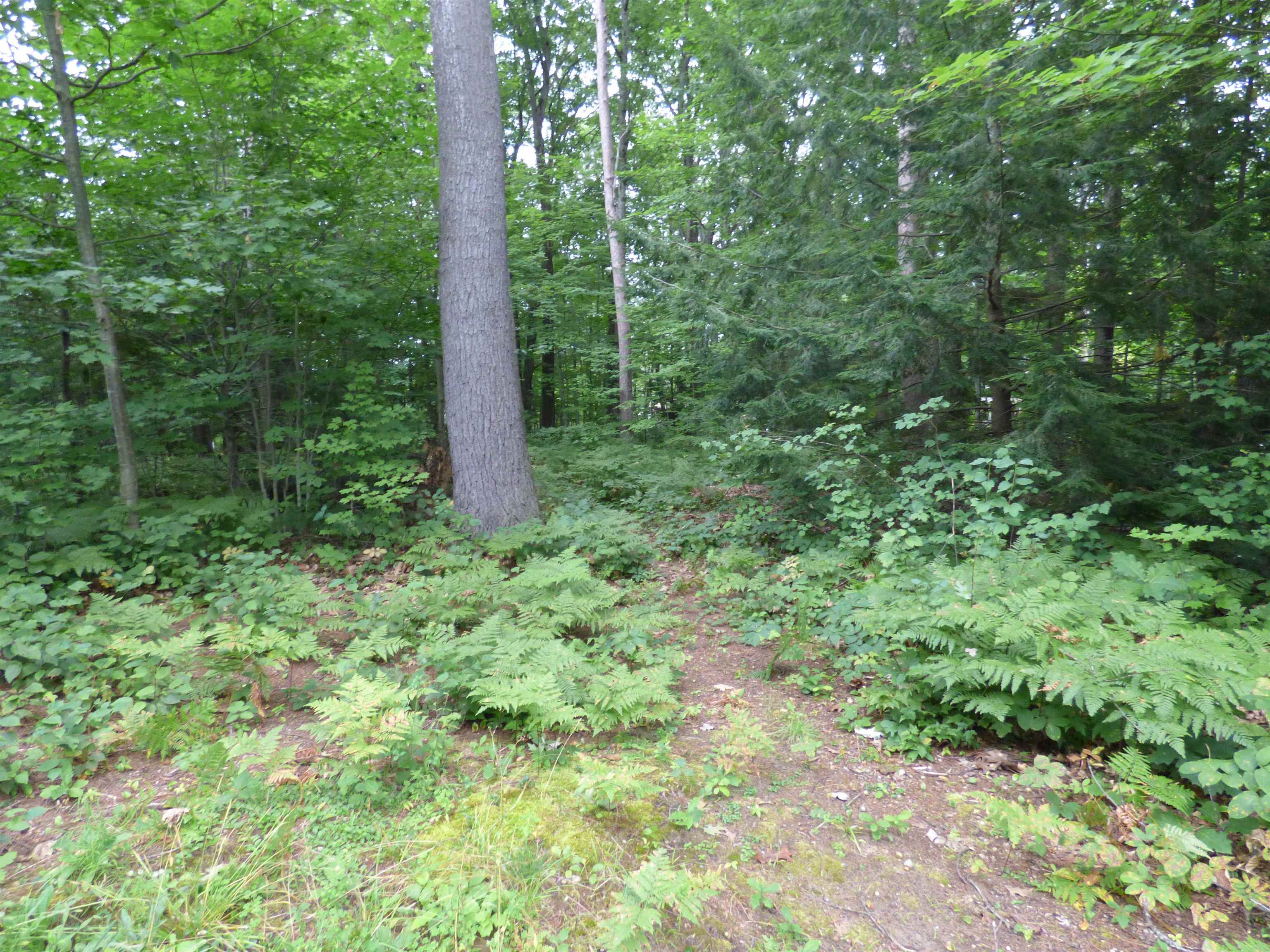 Clover Lane