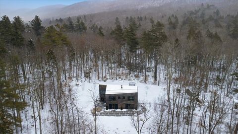 3635 Under the Mountain Road Londonderry VT 05155