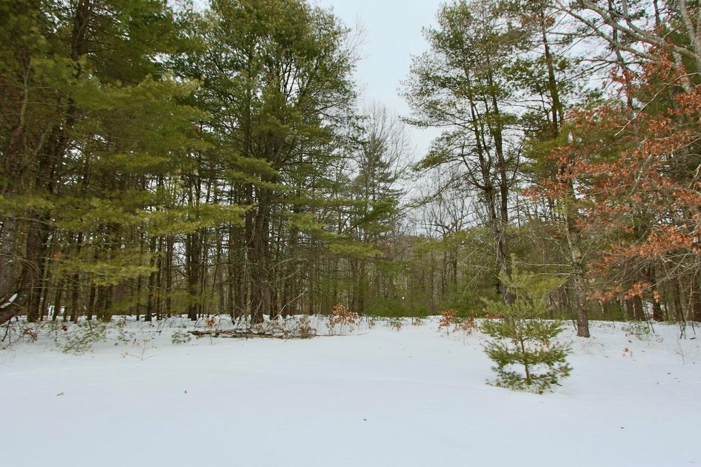 Photo of 101 Page Road, Litchfield, NH 03052 (MLS # 5076490)