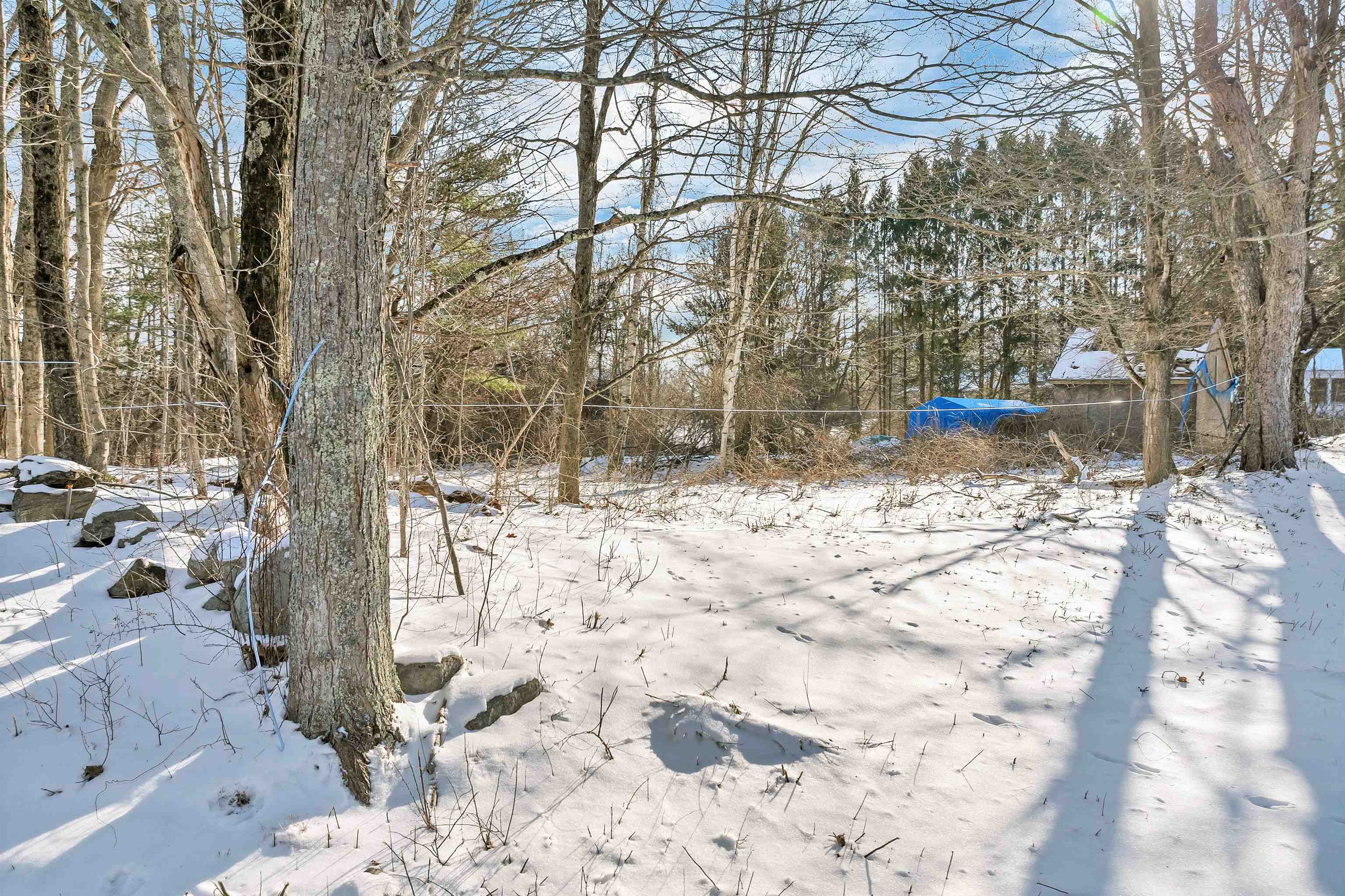 9 Buttrick Road