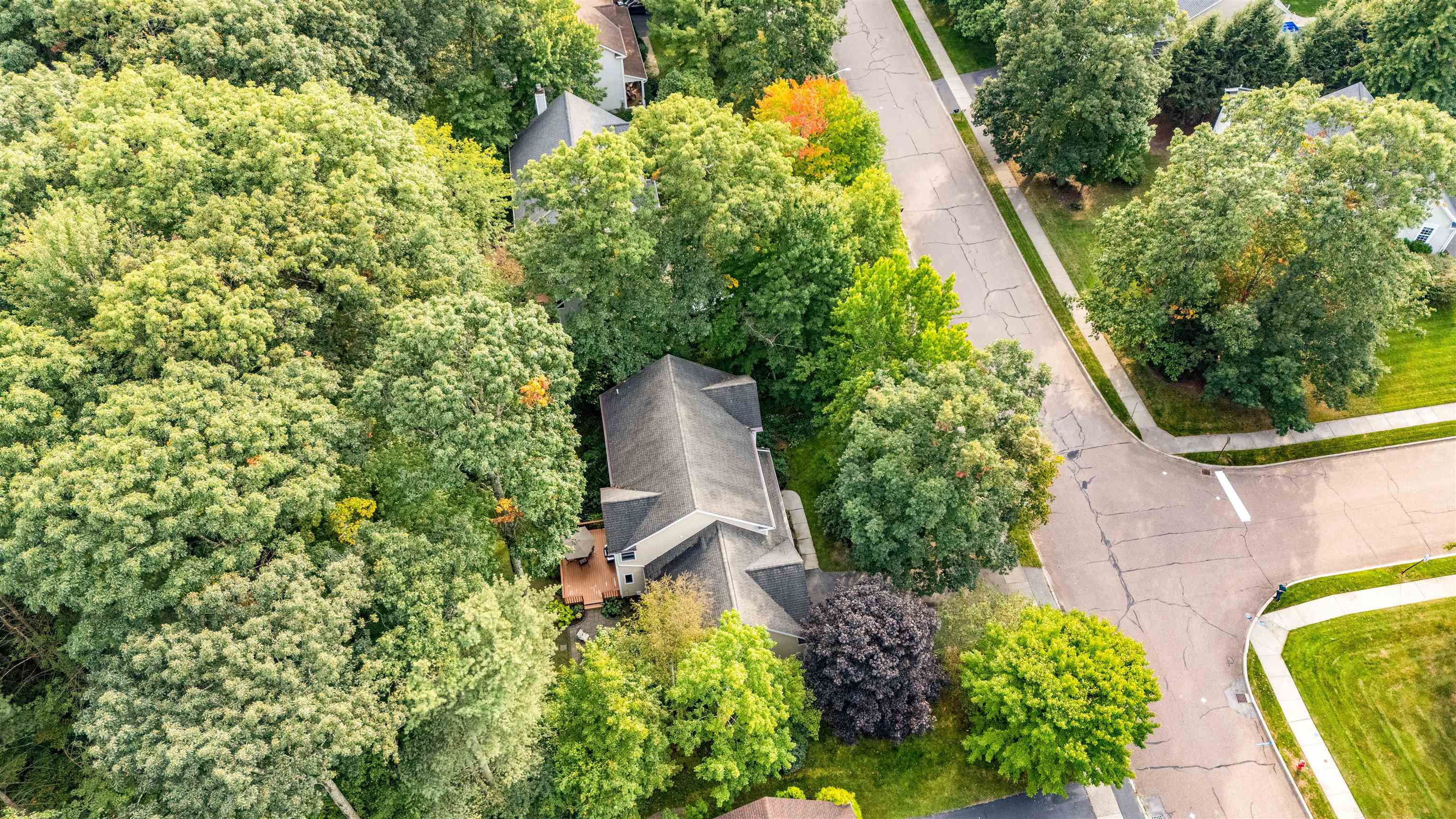 63 Sydney Drive