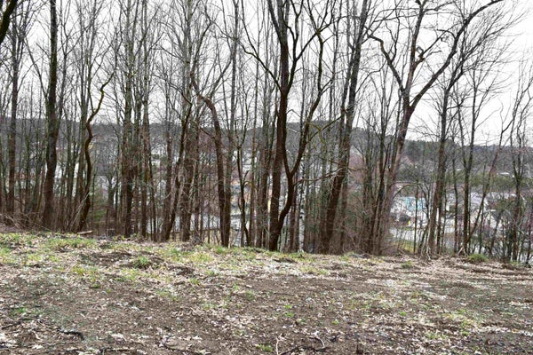 42 LAFAYETTE ST 26, SAINT JOHNSBURY, VT 05819 - Image ec6a07578bf2ff833dce92b99fa79f0d/1815977531