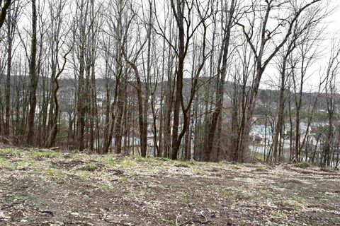 Lot 26 Lafayette Street 26 St. Johnsbury VT 05819