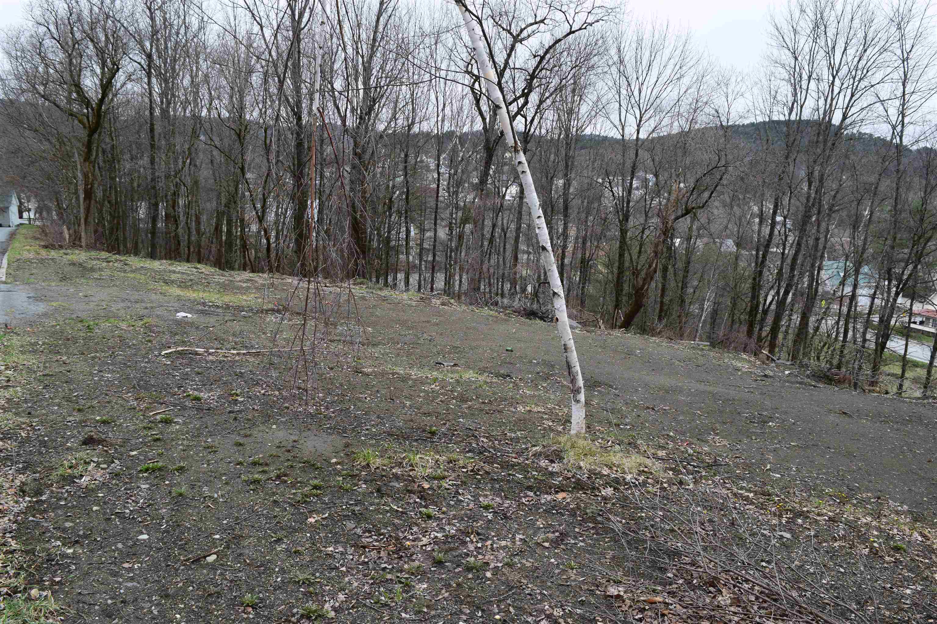 Lot 26 Lafayette Street 26