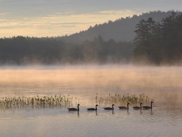 New Hampton, New Hampshire 03256, United States, 3 Bedrooms Bedrooms, ,2 BathroomsBathrooms,Residential,Active,81685