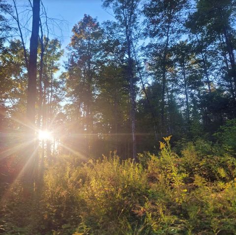 0 Sutton Road Wheelock VT 05851