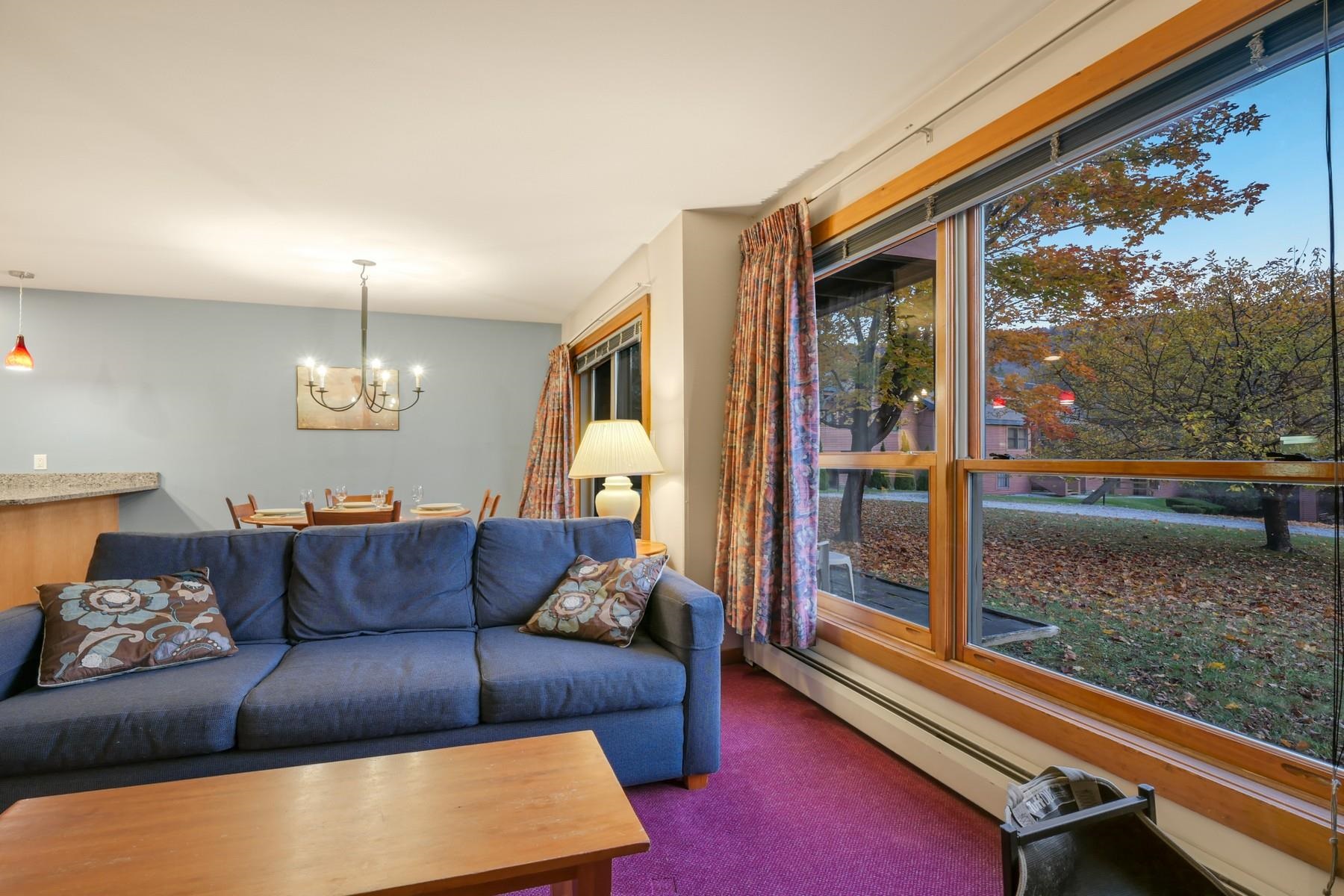 528 East Mountain Road 57