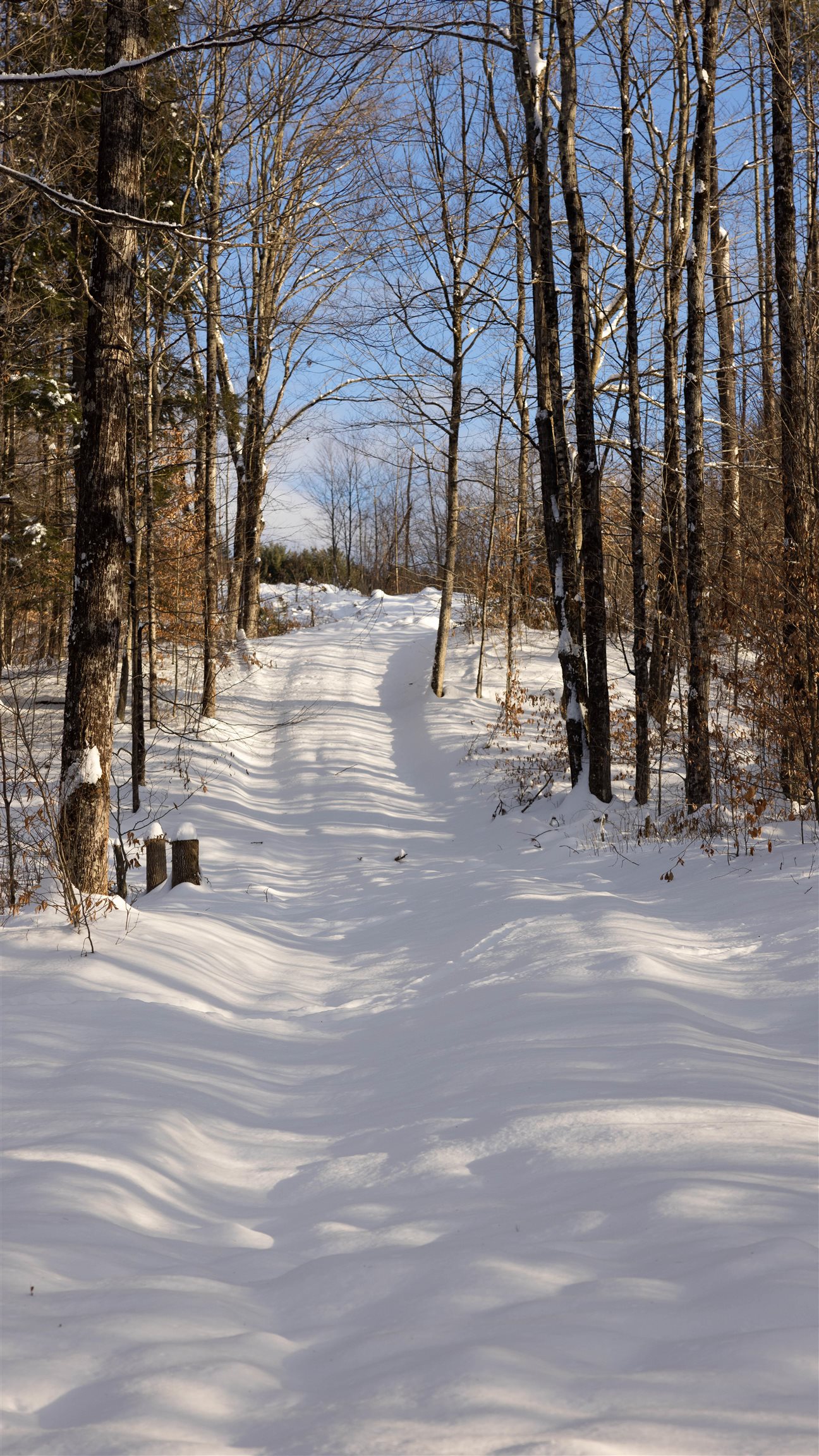 5000 VT Route 106