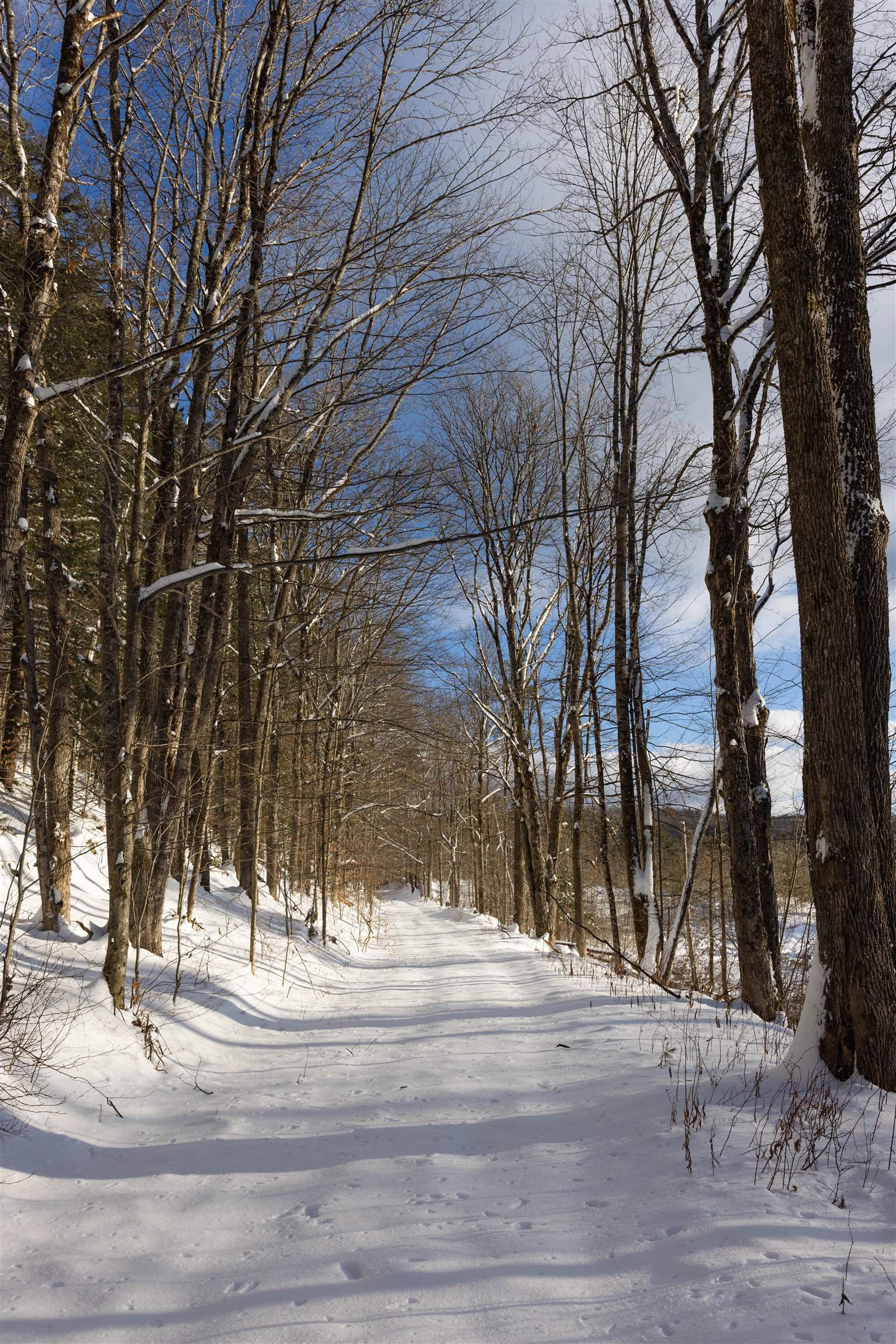 5000 VT Route 106