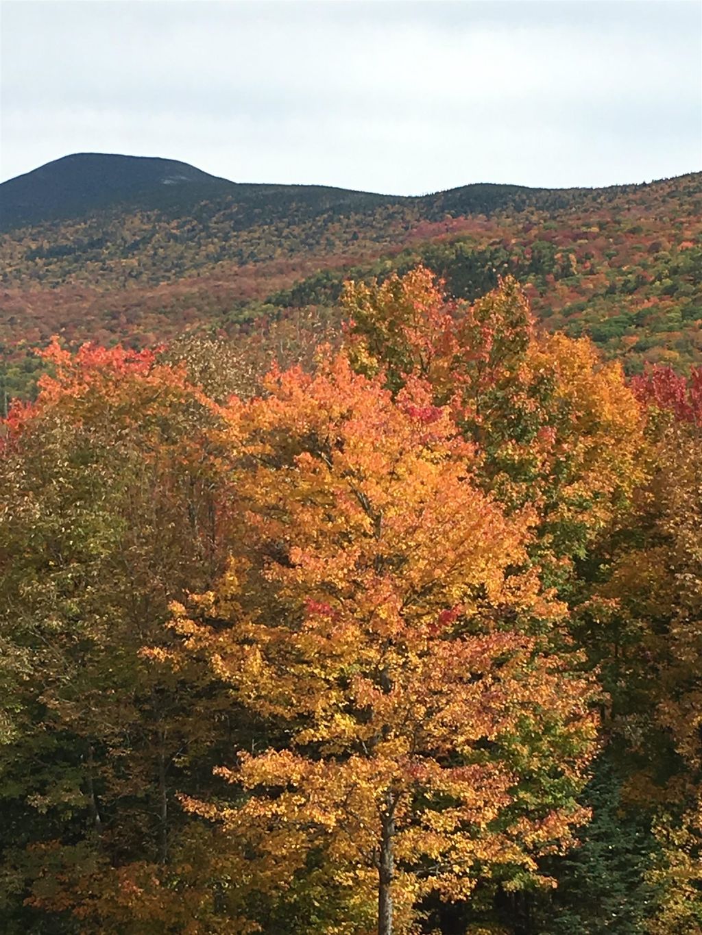 Photo of 1063 New Hampshire Route 25 Highway, Warren, NH 03279 (MLS # 5084315)